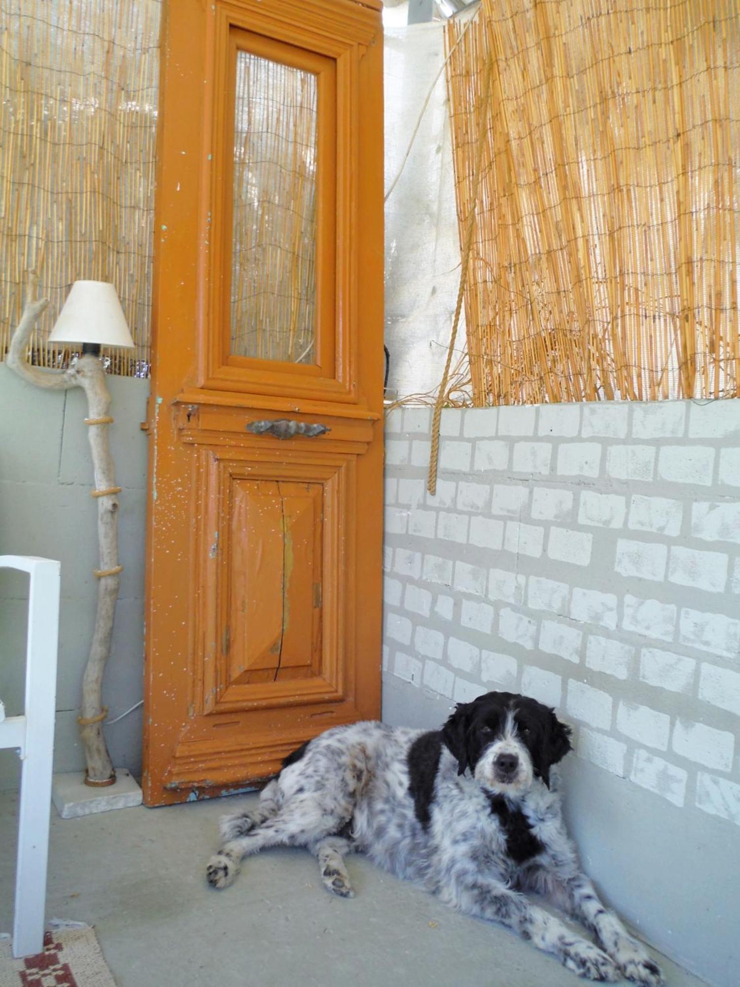 Port Rooms Limenas  Exterior foto