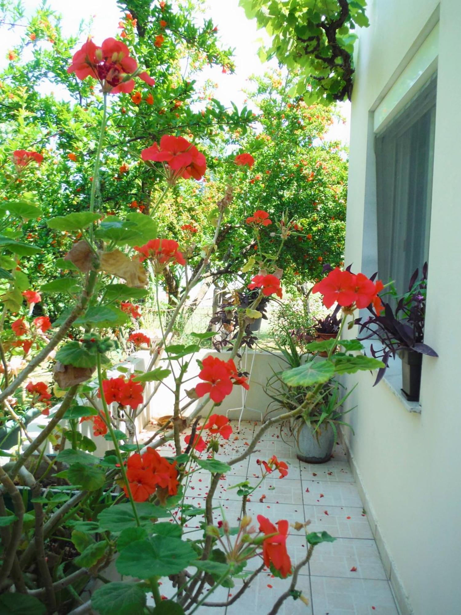 Port Rooms Limenas  Exterior foto