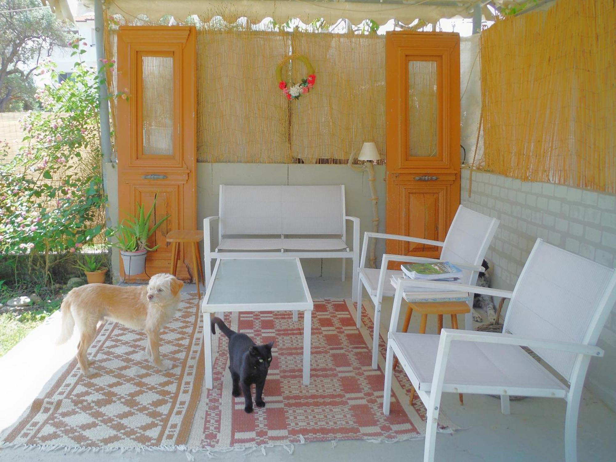 Port Rooms Limenas  Exterior foto